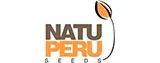más logistics